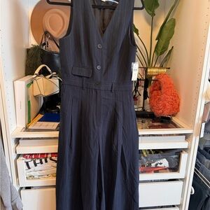 Anthropologie Blue Pinstripe Jumpsuit